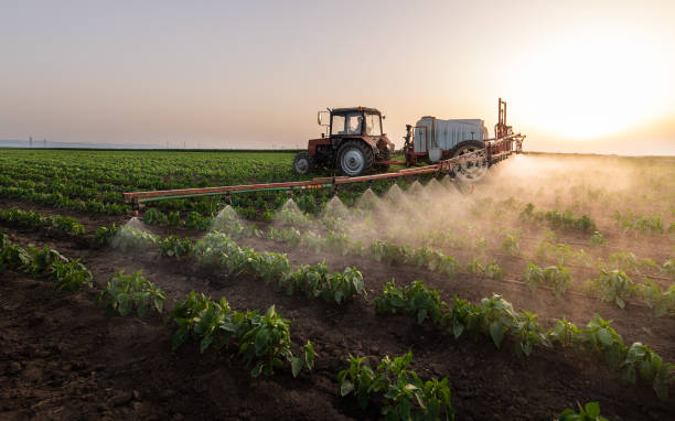 Best Best Pest Control Companies  in Normandy, MO